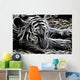 Tiger Wall Mural