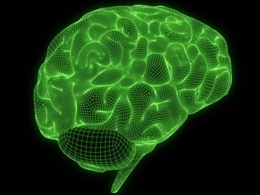 wireframe brain Wall Mural