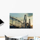 Roller Coaster Wall Mural
