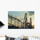 Roller Coaster Wall Mural
