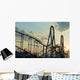 Roller Coaster Wall Mural
