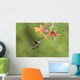 Hummingbird and Honeysuckle Wall Mural