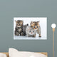 Group Little Kittens