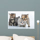 Group Little Kittens