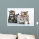 Group Little Kittens