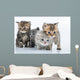Group Little Kittens