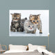Group Little Kittens