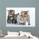 Group Little Kittens