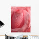 Pink Rose Droplets Wall Mural