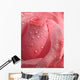 Pink Rose Droplets Wall Mural