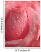 Pink Rose Droplets Wall Mural