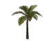 Palm Tree Wall Decal