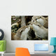 otters kissing Wall Mural