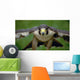 Peregrine Falcon Wall Mural