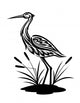 Heron Bog Landscape