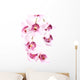 Orchid over White