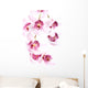 Orchid over White