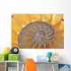 Nautilus Shell