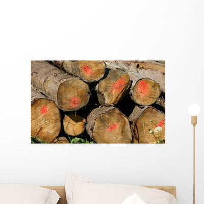 Chopped Wood Wall Decal shown on a wall