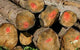 Chopped Wood Wall Decal