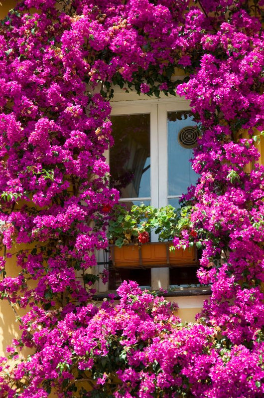 Imperia Italy