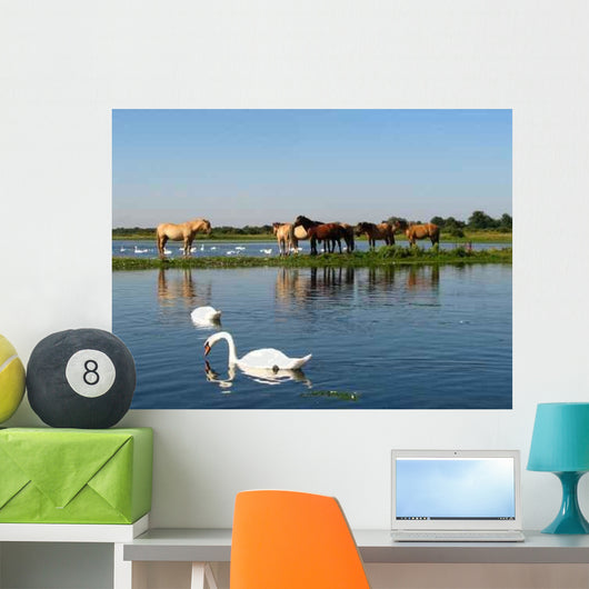 Chevaux Wall Decal