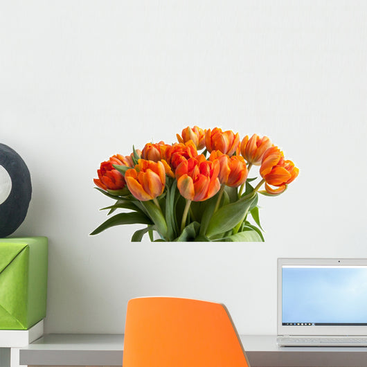 Orange Tulips