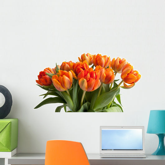 Orange Tulips