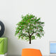 apple tree isolated on white background Wall Decal