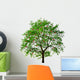 apple tree isolated on white background Wall Decal