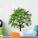 apple tree isolated on white background Wall Decal