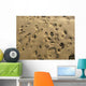 Sand Feet 02 Wall Decal