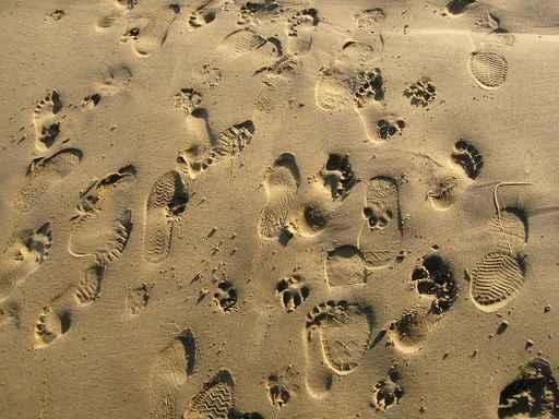 Sand Feet 02 Wall Decal