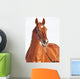Portrait Sorrel Beautiful Horse Wall Decal
