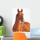 Portrait Sorrel Beautiful Horse Wall Decal