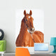 Portrait Sorrel Beautiful Horse Wall Decal