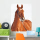 Portrait Sorrel Beautiful Horse Wall Decal
