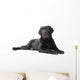 Black Labrador Retriever Lying Wall Decal
