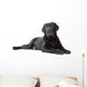 Black Labrador Retriever Lying Wall Decal