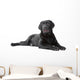 Black Labrador Retriever Lying Wall Decal