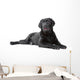 Black Labrador Retriever Lying Wall Decal