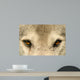 Eye To Eye With a Wolf Wall Decal