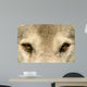 Eye To Eye With a Wolf Wall Decal