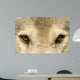 Eye To Eye With a Wolf Wall Decal