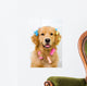 Happy Golden Retriever Getting Groomed Wall Decal
