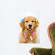 Happy Golden Retriever Getting Groomed Wall Decal