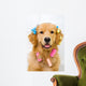 Happy Golden Retriever Getting Groomed Wall Decal