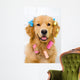 Happy Golden Retriever Getting Groomed Wall Decal