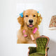 Happy Golden Retriever Getting Groomed Wall Decal