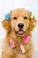 Happy Golden Retriever Getting Groomed Wall Decal